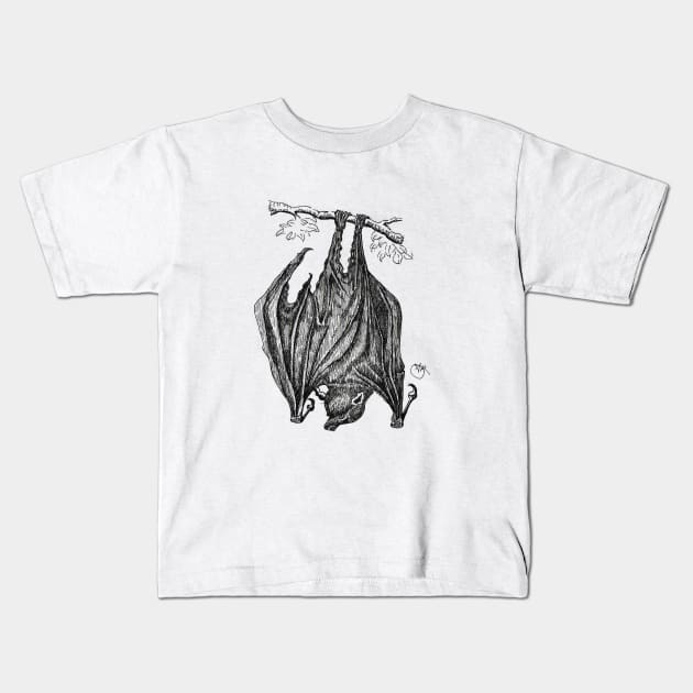 Upside down bat hanging Kids T-Shirt by angipangi7